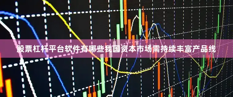 股票杠杆平台软件有哪些我国资本市场需持续丰富产品线