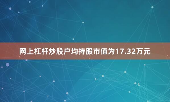 网上杠杆炒股户均持股市值为17.32万元