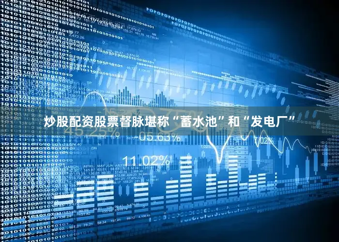 炒股配资股票督脉堪称“蓄水池”和“发电厂”