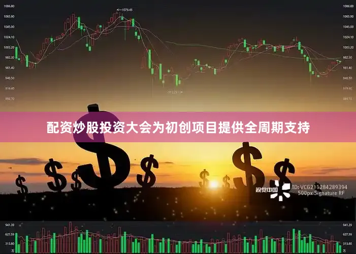 配资炒股投资大会为初创项目提供全周期支持