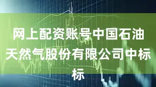 网上配资账号中国石油天然气股份有限公司中标