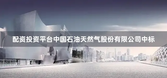 配资投资平台中国石油天然气股份有限公司中标